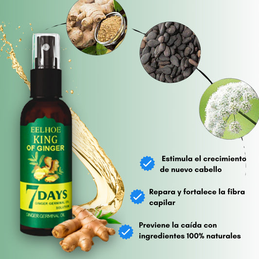 King of Ginger - Recupera tu cabello con jengibre en 7 días